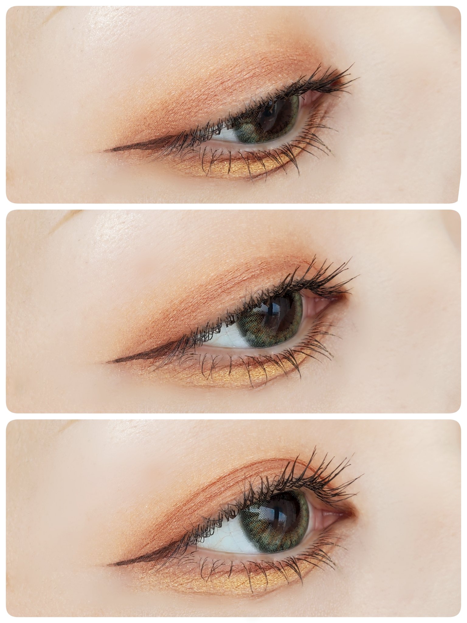 ジュエルアイカラーコレクション/Armuje/アイシャドウパレットを使ったクチコミ（1枚目）