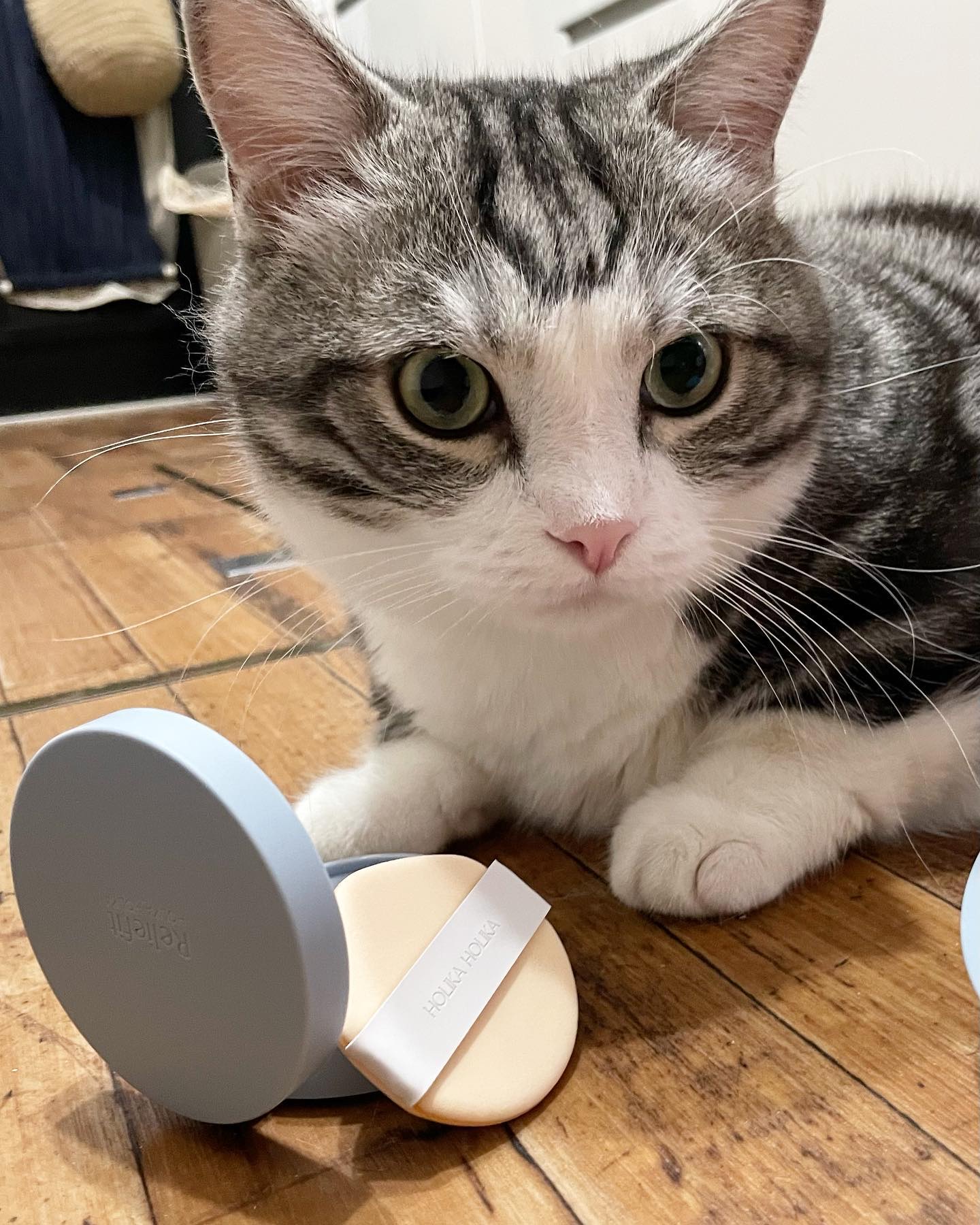 RELIFIT シカステイクッション/HOLIKA HOLIKA/クッションファンデーションを使ったクチコミ（1枚目）