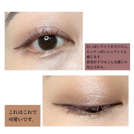 パノラマデザイン アイパレット/Visée/アイシャドウパレットを使ったクチコミ(5枚目)