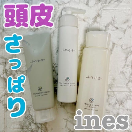 ジェントル スクラブ クレンズ/ines/市販シャンプーを使ったクチコミ(1枚目)