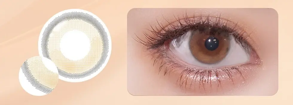 Ferenne 1day ティアフィーヌブラウン