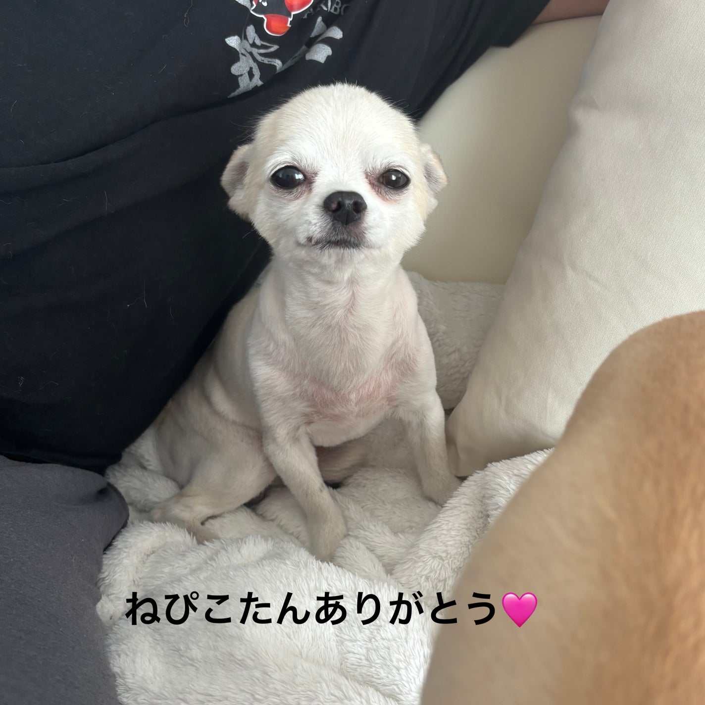 クリーム カラー フォー アイズ/TOM FORD BEAUTY/ジェル・クリームアイシャドウを使ったクチコミ(9枚目)