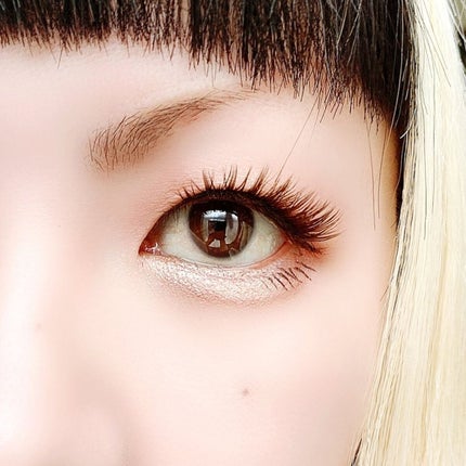 シルキースフレアイズ(マットタイプ)/キャンメイク/アイシャドウパレットを使ったクチコミ(6枚目)