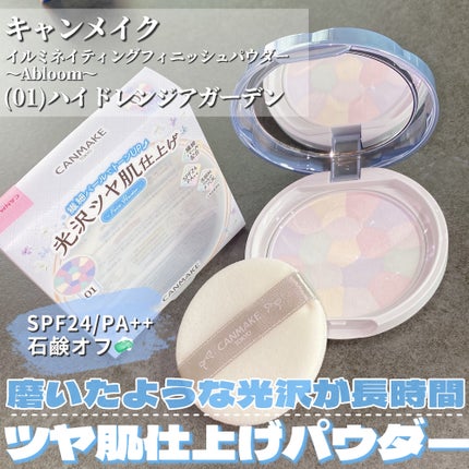 イルミネイティングフィニッシュパウダー ~Abloom~/キャンメイク/プレストパウダーを使ったクチコミ(4枚目)