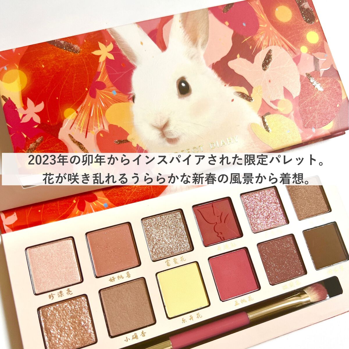 エクスプローラ12色 動物アイシャドウパレット/PERFECT DIARY/アイシャドウパレットを使ったクチコミ(2枚目)