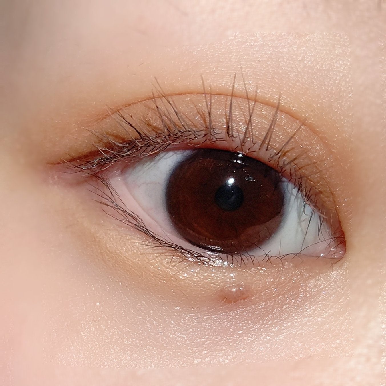 ラッシュフォーマーEX(クリア)/KATE/マスカラを使ったクチコミ(3枚目)