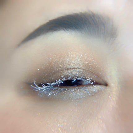 エクスプローラ12色 動物アイシャドウパレット/PERFECT DIARY/アイシャドウパレットを使ったクチコミ(3枚目)