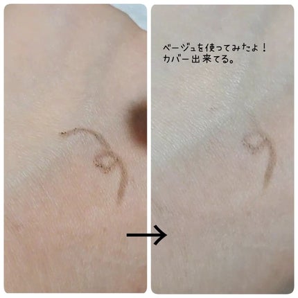 コンシールブレンダーパレット/LUNA/パレットコンシーラーを使ったクチコミ(4枚目)