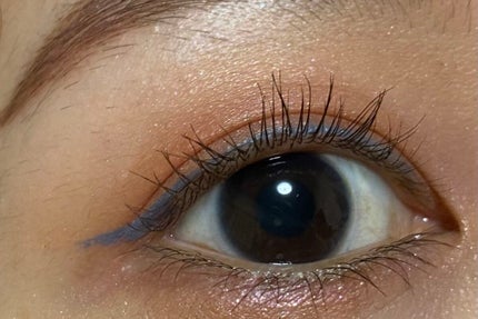 ザ カラー リキッド アイライナー/ADDICTION/リキッドアイライナーを使ったクチコミ(3枚目)