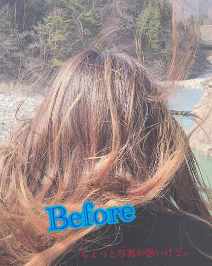 ヘアーオイル【ニュートリカラー】/ellips/ヘアオイルを使ったクチコミ(2枚目)