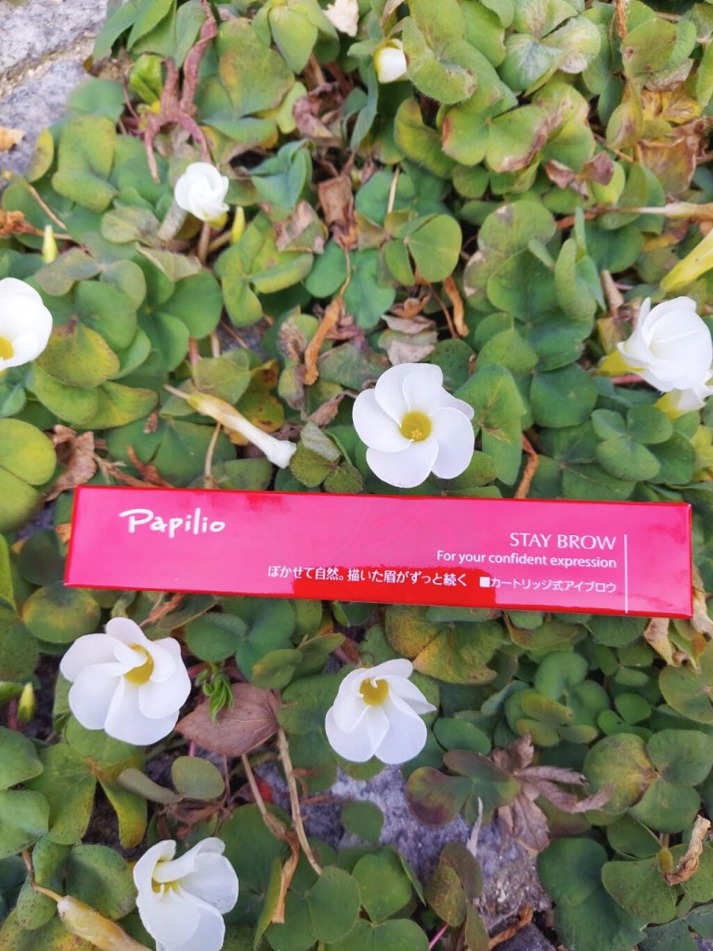 BonBonBonmamiyo on LIPS 「皆様こんにちは。今回、パピリオ株式会社様の パピリオ ステイブ..」(1枚目)