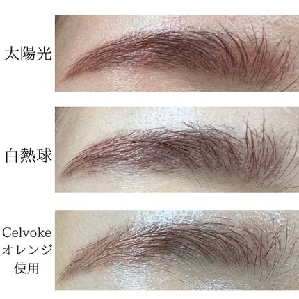 セルヴォーク インディケイトアイブロウパウダー/Celvoke/パウダーアイブロウを使ったクチコミ(4枚目)