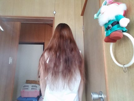 モイストシャイン シャンプー1.0/モイストシャイン トリートメント2.0/beee8/市販シャンプーを使ったクチコミ(3枚目)