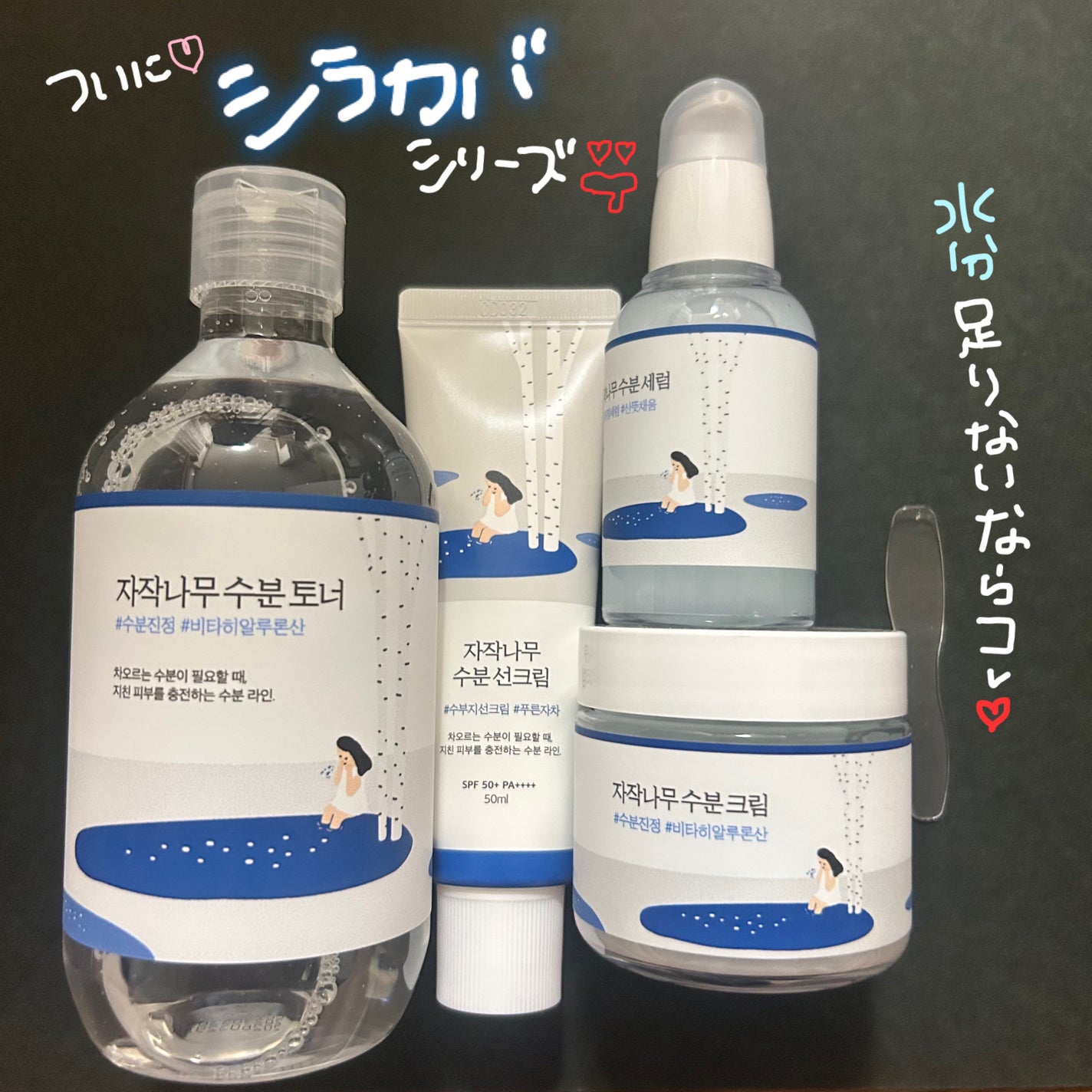 白樺水分クリーム/ROUND LAB/フェイスクリームを使ったクチコミ(1枚目)