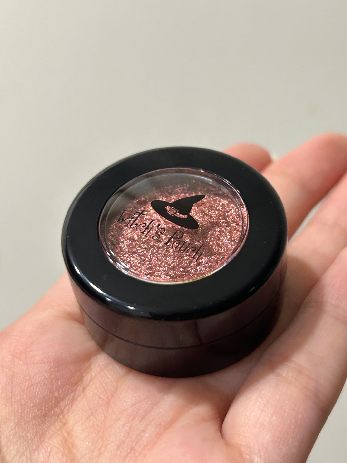 セルフィーフィックスピグメント/Witch's Pouch/単色アイシャドウを使ったクチコミ(1枚目)