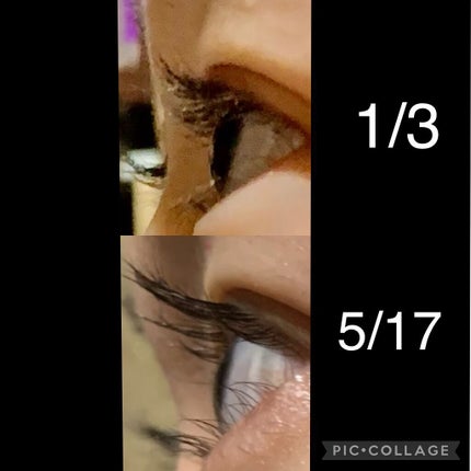 エグータム/アルマダスタイル/まつげ美容液を使ったクチコミ(2枚目)