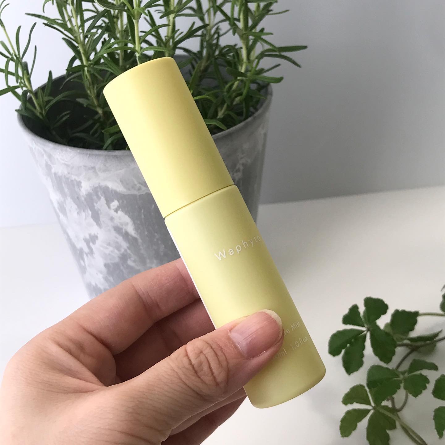 インティメイト ミスト/Waphyto/ボディローションを使ったクチコミ（2枚目）