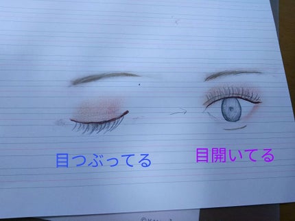 【旧品】パーフェクトスタイリストアイズ/キャンメイク/アイシャドウパレットを使ったクチコミ(2枚目)