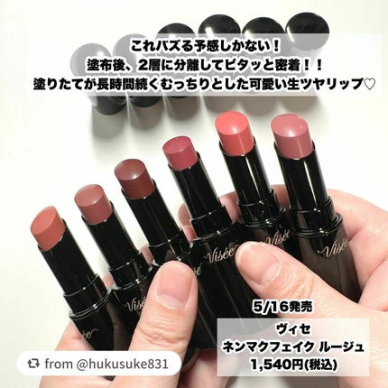 ネンマクフェイク ルージュ/Visée/口紅を使ったクチコミ(2枚目)