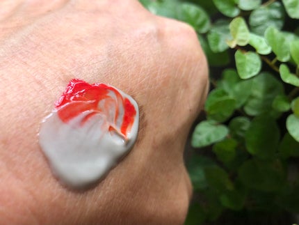 クレイ W クレンズ/アンテリージェEX/クレンジングクリームを使ったクチコミ(2枚目)