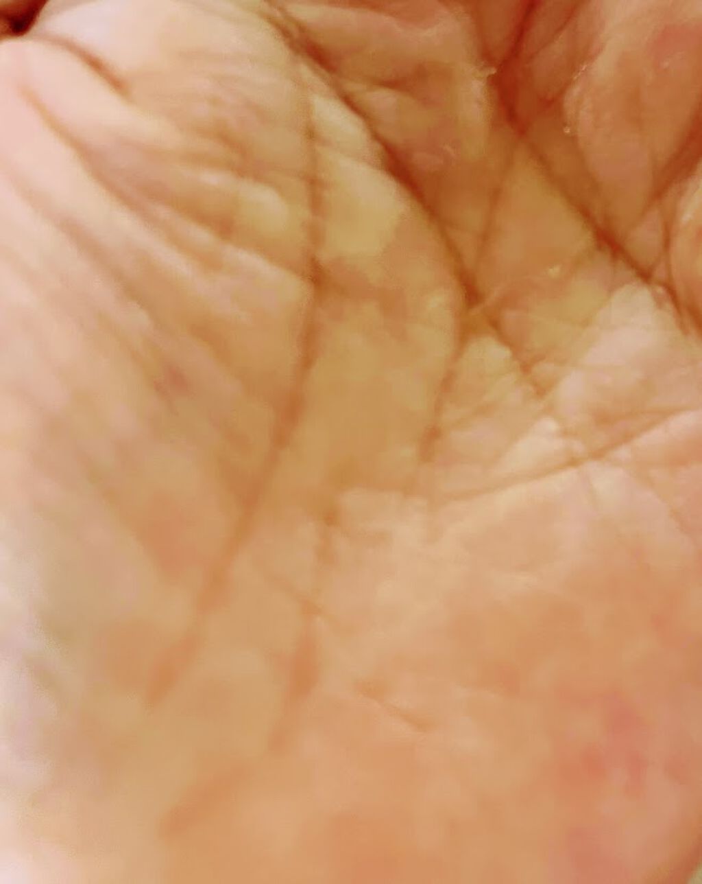 オーガニックマルチオイル/KAIKA/ヘアオイルを使ったクチコミ（2枚目）