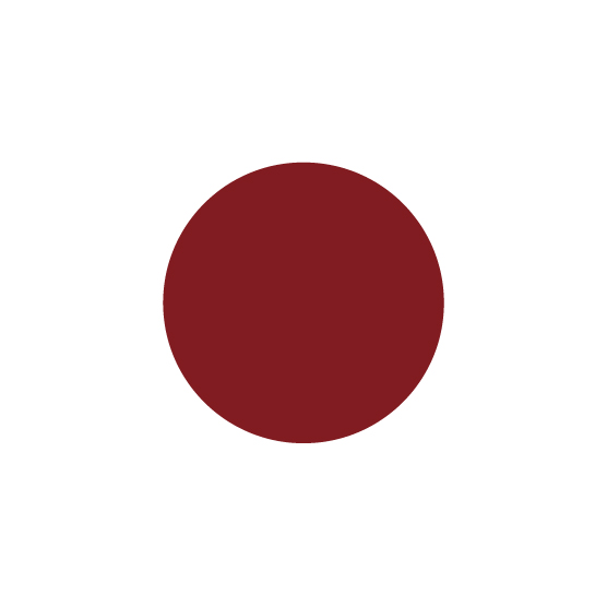 カラーリングアイブロウ マイクロ 31 ラズベリーブラウン