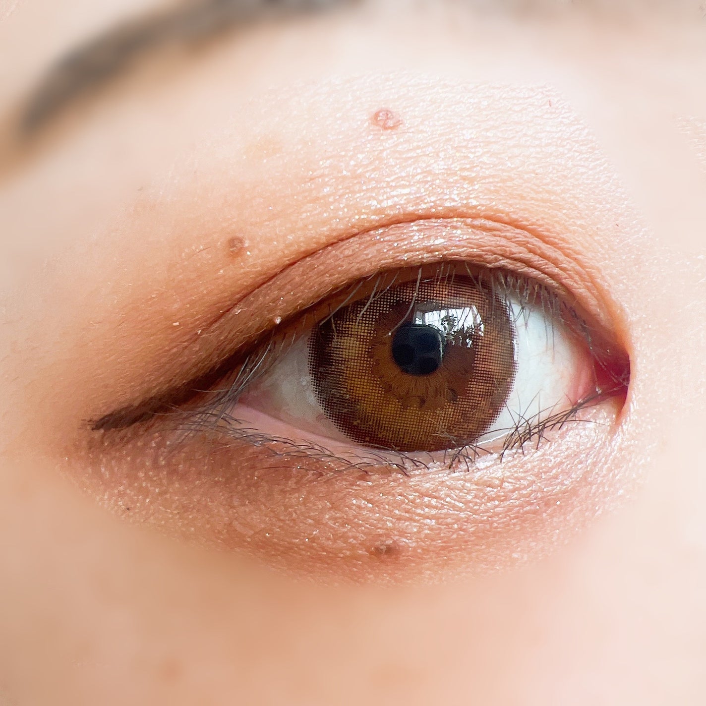 デイリーシャドウパレット/MERYTHOD/アイシャドウパレットを使ったクチコミ(6枚目)