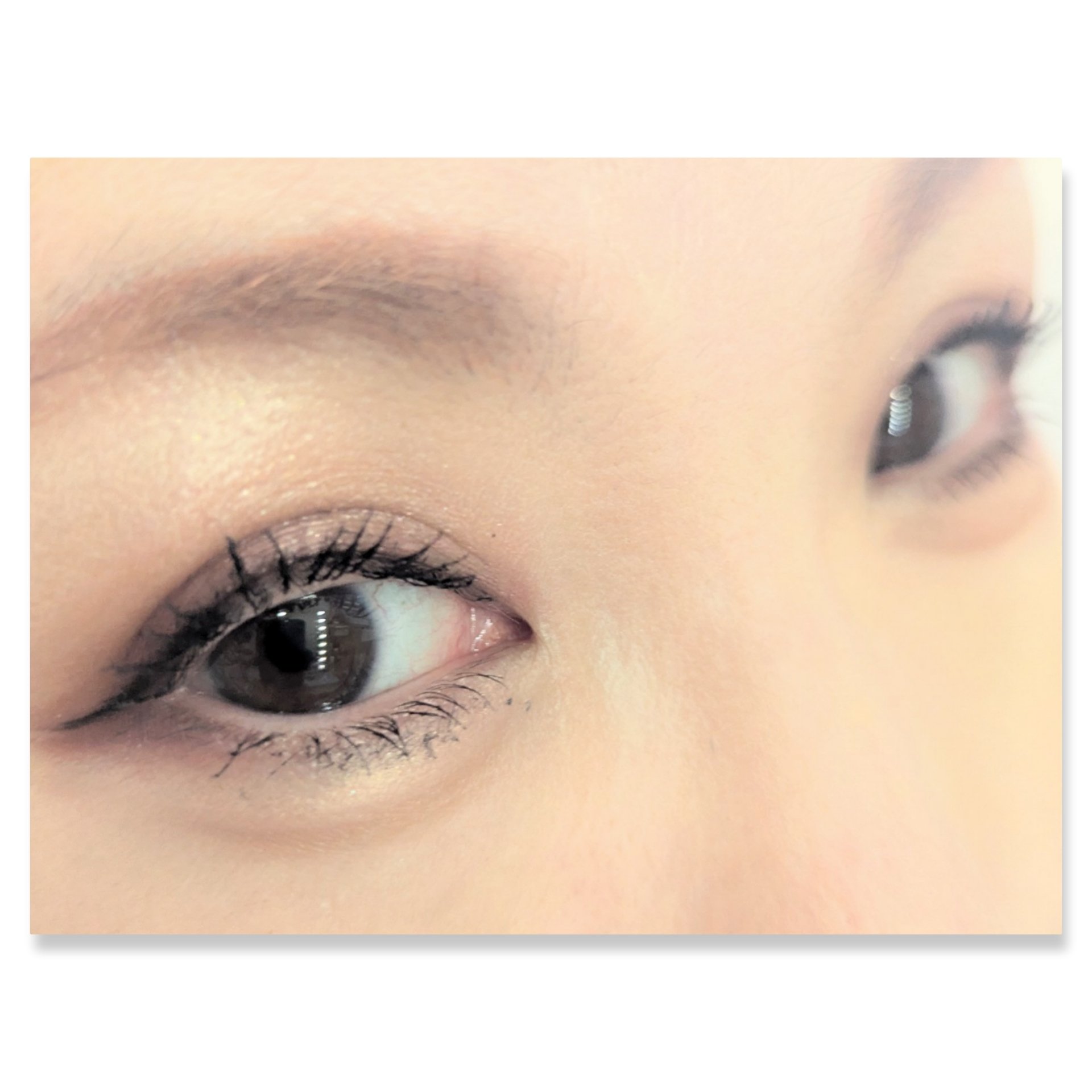 パノラマデザイン アイパレット BR-5 カシスブラウン/Visée/アイシャドウパレットを使ったクチコミ（2枚目）