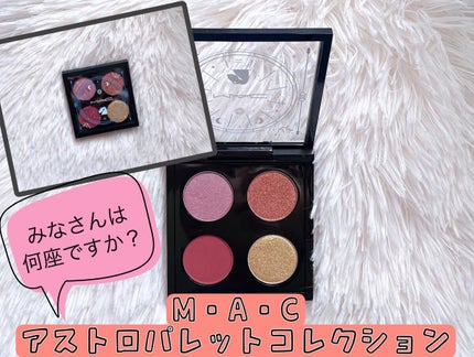 ASTRO PALETTE COLLECTION(アストロ パレット コレクション)/M・A・C/アイシャドウパレットを使ったクチコミ(1枚目)
