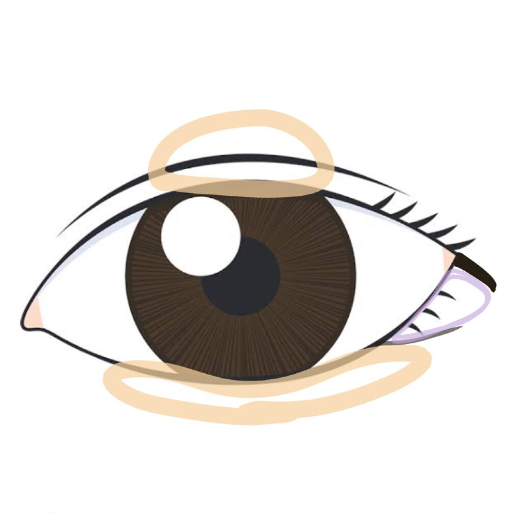 ナチュラル チークN/CEZANNE/パウダーチークを使ったクチコミ(4枚目)