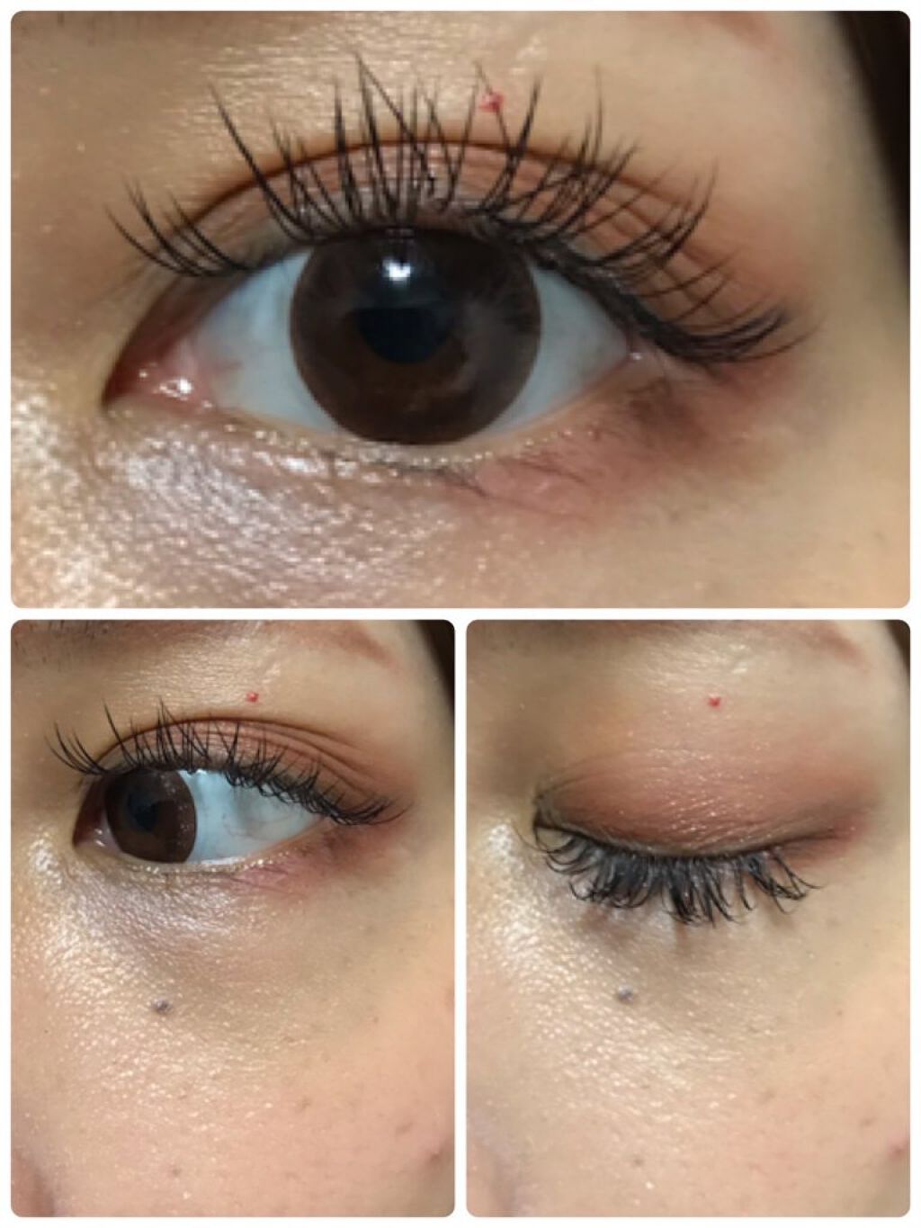 シルキースフレアイズ(マットタイプ)/キャンメイク/アイシャドウパレットを使ったクチコミ(4枚目)