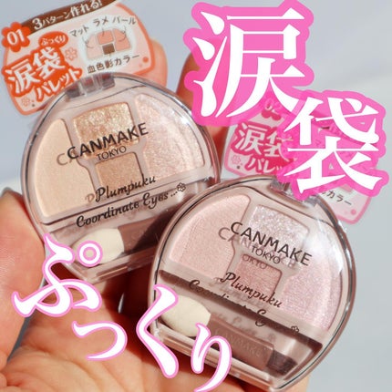 プランぷくコーデアイズ/キャンメイク/パウダーアイシャドウを使ったクチコミ(1枚目)