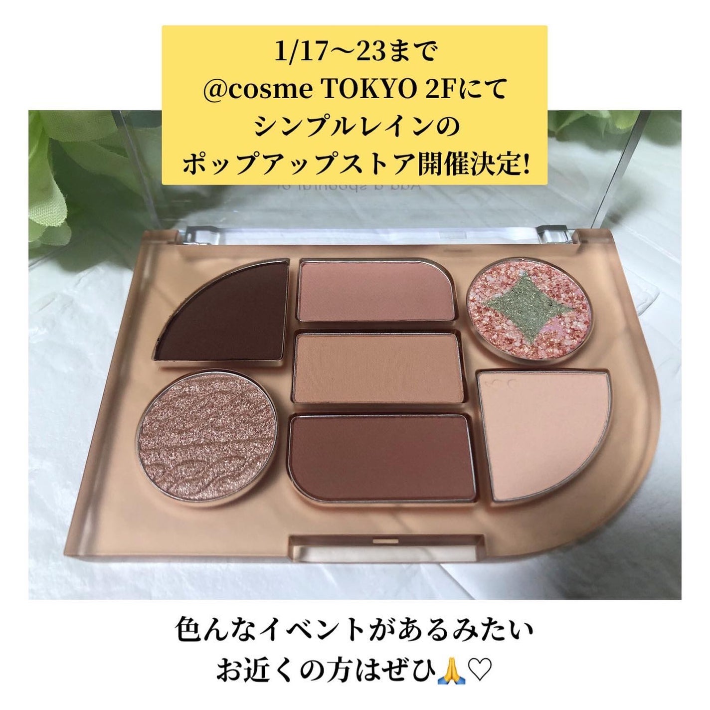 シンプレイン アイパレット/Sim;plain/アイシャドウパレットを使ったクチコミ(4枚目)