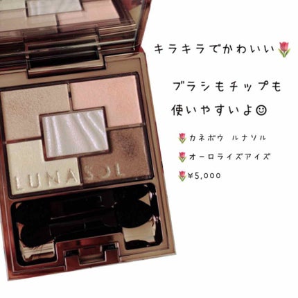 オーロライズアイズ/LUNASOL/アイシャドウパレットを使ったクチコミ(1枚目)