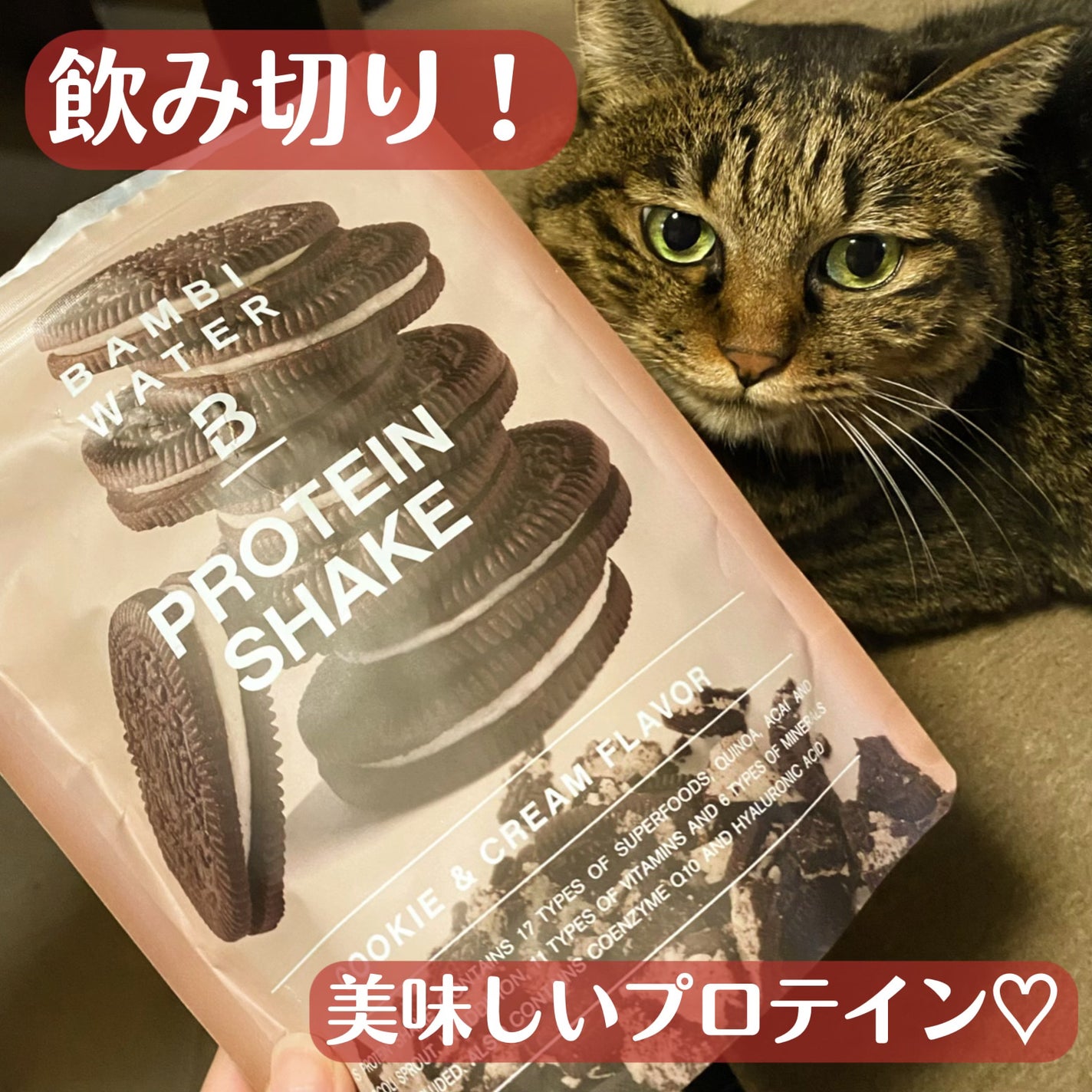 プロテインシェイク クッキー&クリーム/BAMBI WATER/ソイプロテインを使ったクチコミ(1枚目)