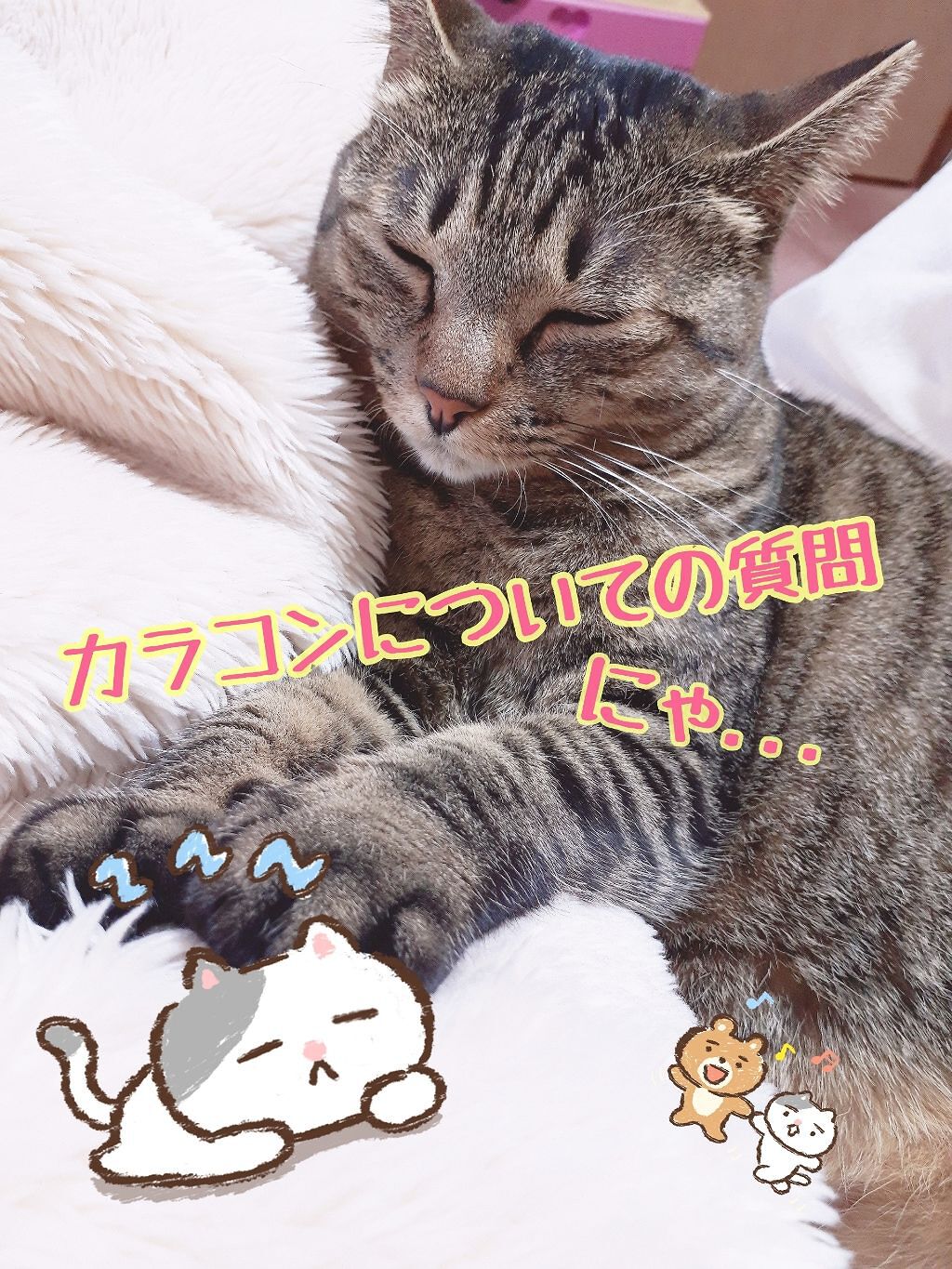 自己紹介/雑談/その他を使ったクチコミ（1枚目）