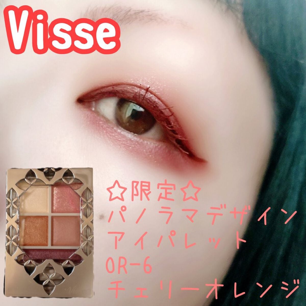 パノラマデザイン アイパレット/Visée/アイシャドウパレットを使ったクチコミ(1枚目)