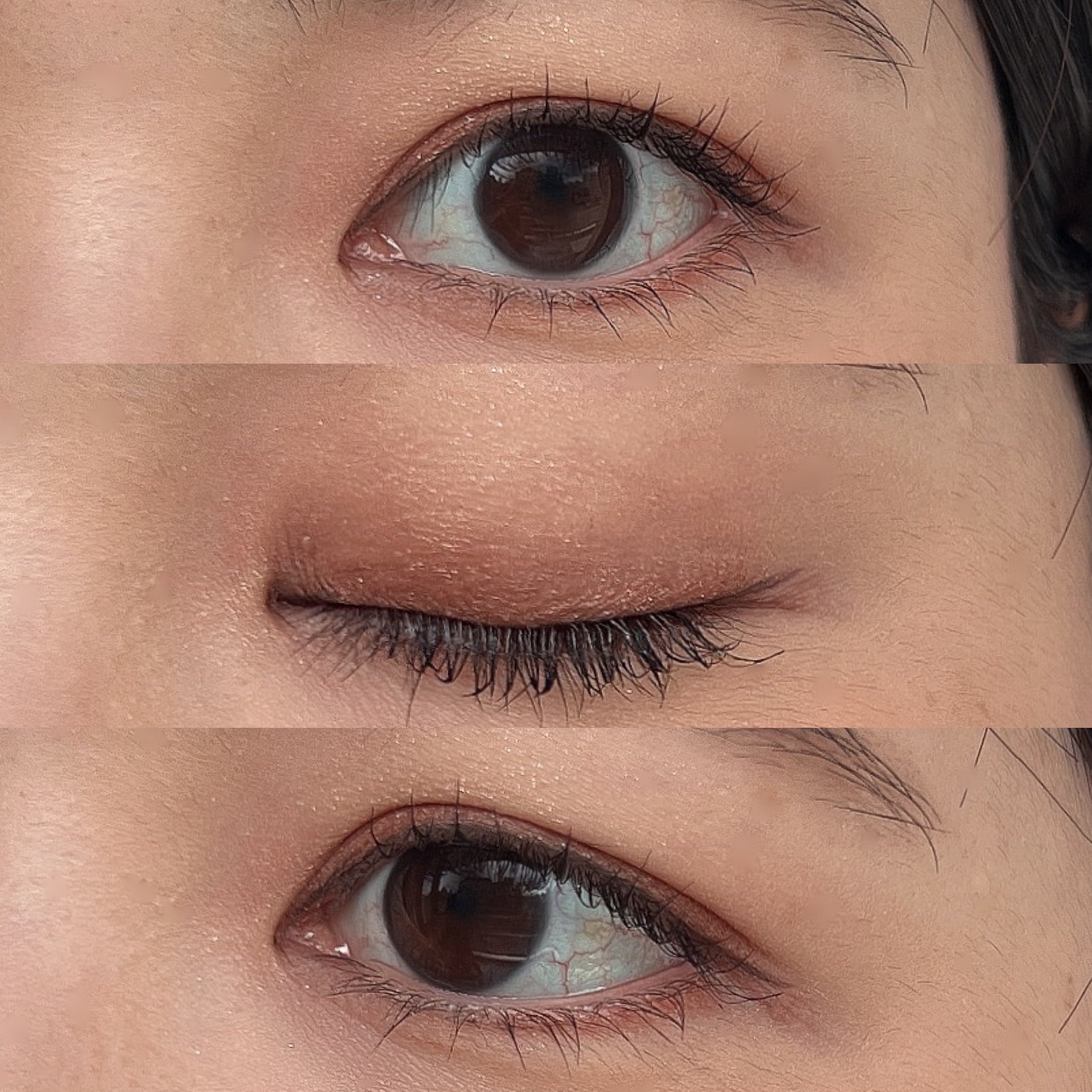 ピュア クラリティ シアー アイシャドウ/est/アイシャドウパレットを使ったクチコミ（3枚目）