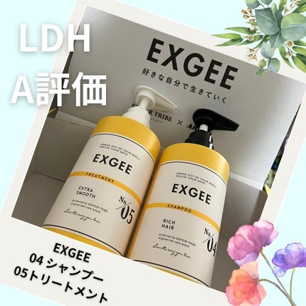 エグジー シャンプー/トリートメント/EXGEE/市販シャンプーを使ったクチコミ(1枚目)
