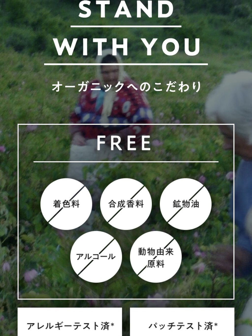 ティーツリー成分配合シートマスク35枚入り/ピコモンテ/シートマスク・パックを使ったクチコミ（2枚目）