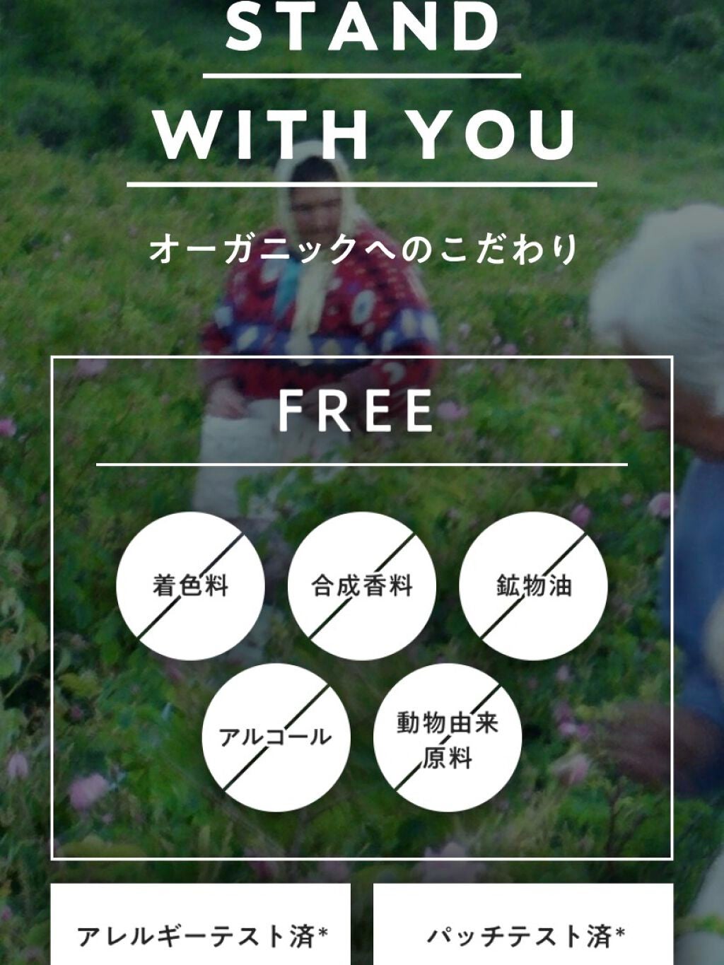 美肌の貯蔵庫 根菜の濃縮マスク 土佐一しょうが/@cosme nippon/シートマスク・パックを使ったクチコミ(2枚目)