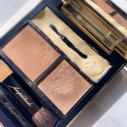 コンスピキュアス アイズ/Amplitude/アイシャドウパレットを使ったクチコミ(6枚目)