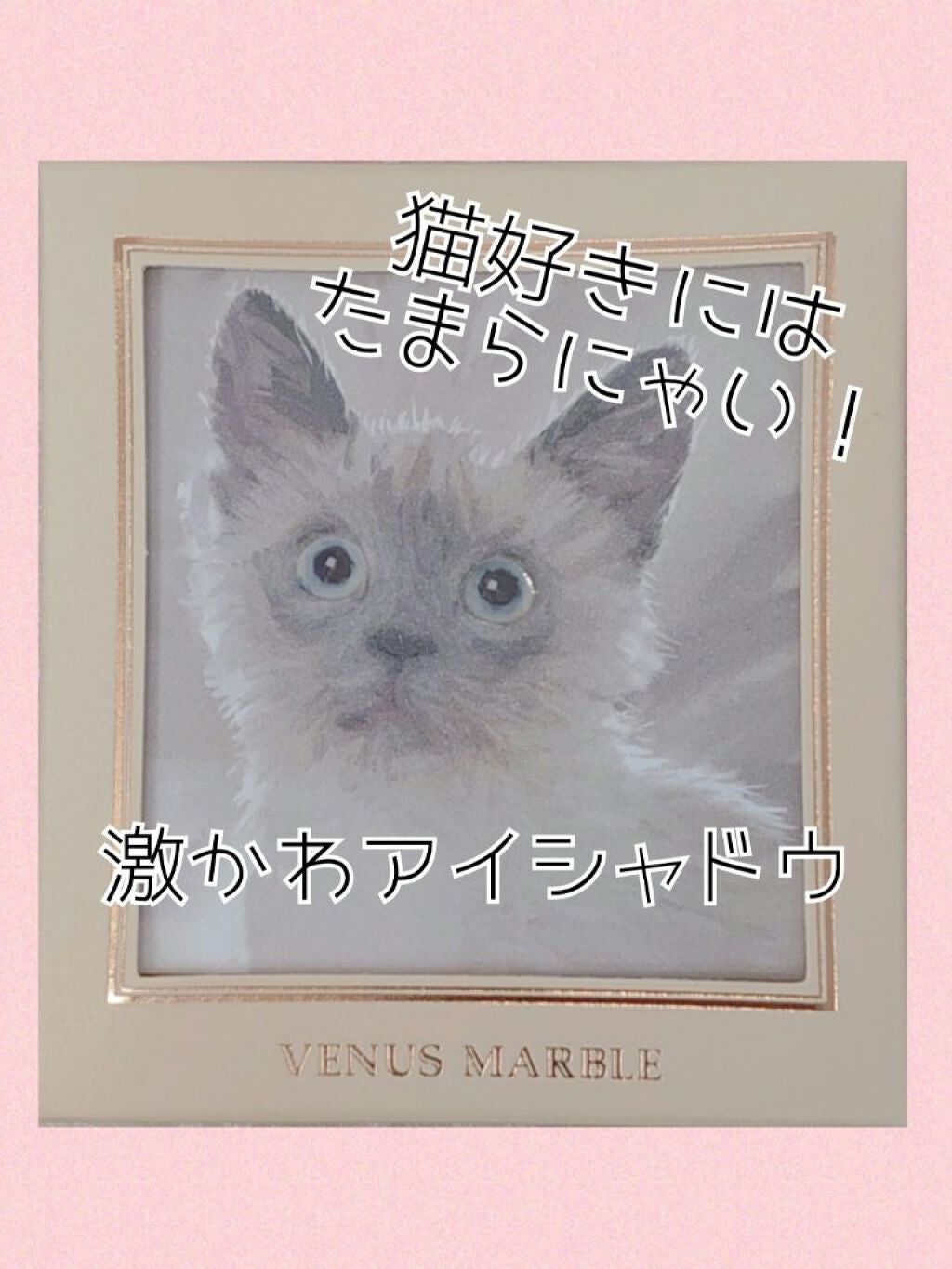 Venus Marble アイシャドウキャットシリーズ/Venus Marble/アイシャドウパレットを使ったクチコミ(1枚目)