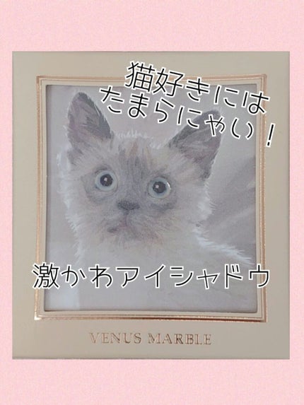 Venus Marble アイシャドウキャットシリーズ/Venus Marble/アイシャドウパレットを使ったクチコミ(1枚目)