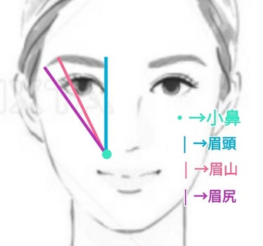 🌟初心者必見🌟 
こんばんわ SNOOPY( ･ ´｀(●)です。
皆さん眉毛が人の印象の60％を左右するというのは聞いた事ありますか？YouTubeで見ただけなので分かりませんが、 今回はそんな眉毛の整え方を紹介します。







【眉毛を整えるのに必要なもの】
・アイブロウペンシルやアイブロウパウダーなど
   眉が描けるもの(ブラウンのアイシャドウでもOK)
・I字カミソリ
・コーム付きの眉用バサミ

全部100均で購入できます！私が使っているものは2枚目の画像に書いてあるのでぜひそちらを見てみてください。



【眉毛の整え方】

1・はじめに、なりたい眉の形を描きます。
      基本的な眉の形を画像3枚目にのせました！
      眉の初めの部分、｢眉頭｣は小鼻と目頭を結んだ延長線に
      当たります。
      眉の盛り上がりの部分、｢眉山｣は小鼻と黒目の終わりを
      結んだ延長線に当たります。
      眉の終わりの部分、｢眉尻｣は小鼻と目尻を結んだ延長線
      に当たります。

      このようにアーチ眉を描きます。定規などを使って
      場所を定めるといいです。


2・次にI字カミソリを用意します。
      1の時に描いた眉の上にはみでている毛を剃ります。
      真っ直ぐ鏡を見て上から下にゆっくりと剃ります。


3・眉の下にはみ出た毛を眉用バサミで剃ります。
      コームが取り外しできる眉用バサミのコームを取って使い
      ます。少しずつ刃に毛を入れて剃りましょう。
      また、眉の下は瞼に近いので瞼が切れないように目は
      半分開けた状態にします。


4・コーム付きバサミで長さを整えます。
      コームがついている刃を下にして、コームに眉毛を
      通して少しずつ整えていきます。ここで一気に
      やってしまうと1部だけ薄くなって不自然な眉になってし
      まいます。    

  

【最後に】
・眉毛を整えるのは洗顔時に眉、目元の泡を落としてから
    やると洗い流すのが楽です。
・眉毛が繋がっている人は繋がっている部分を
    そーっとI字カミソリを縦にして剃ります
・眉を整える前に毛の流れを整えておかないと変な形に
    なるので注意⚠






今日フォロワー様が500人を突破しました🎉
本当にありがとうございます。目標の1000人まであと半分！
頑張ります💪✨
【8／28追記】
なんかすっごいフォロワー様増えてるぅぅ👍500人突破したばっかりなのにもう560？！感謝しかないです😭


長くなりましたが
最後まで見て下さりありがとうございました(⋆ᴗ͈ˬᴗ͈)” 
ではバイバイ！
#眉毛   #アーチ眉    #整え方
      
    の画像 その2
