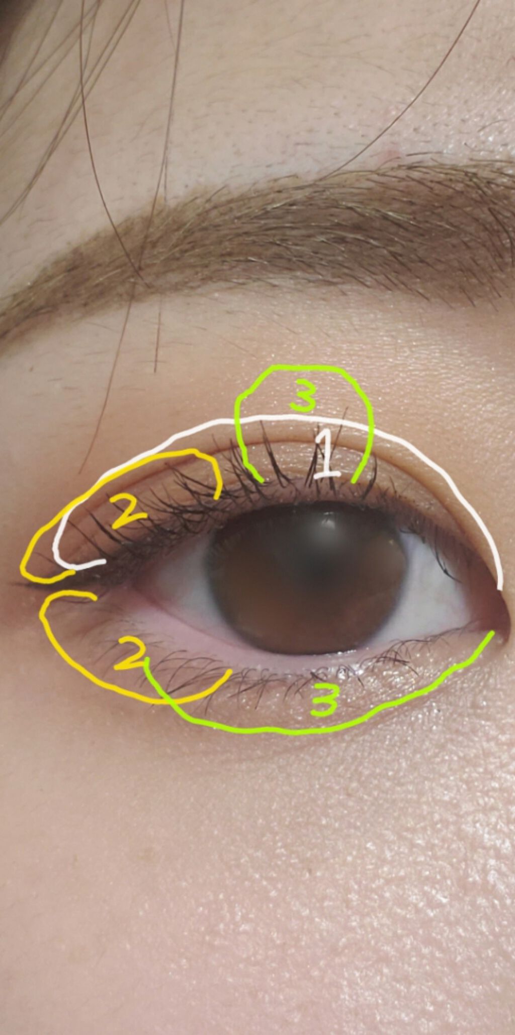 ヴォワヤジュールアイシャドウパレット/NARS/アイシャドウパレットを使ったクチコミ(4枚目)