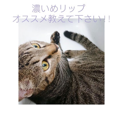 を使ったクチコミ(1枚目)