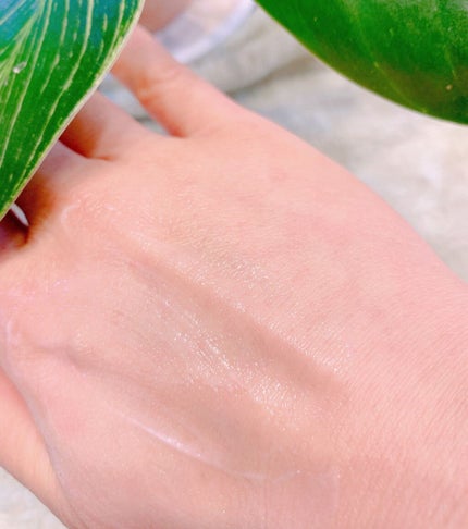 モイスチュア ハンドクリーム/カルテHD/ハンドクリームを使ったクチコミ(6枚目)