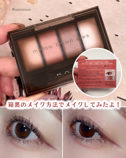 ケイト メロウブラウンアイズ/KATE/アイシャドウパレットを使ったクチコミ(5枚目)