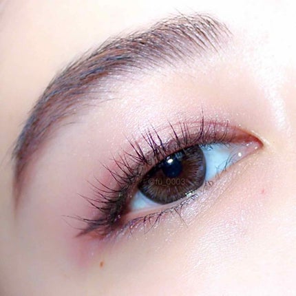 リッドフラッシュ/CHICCA/アイシャドウパレットを使ったクチコミ(4枚目)